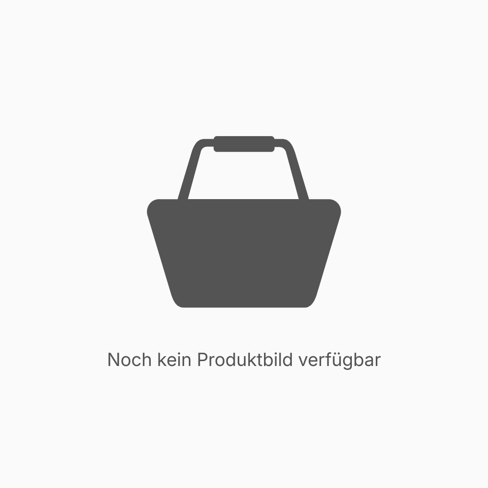 Schlüssel für Hauptschalter Batterie, VOWAG Cargo M Classic