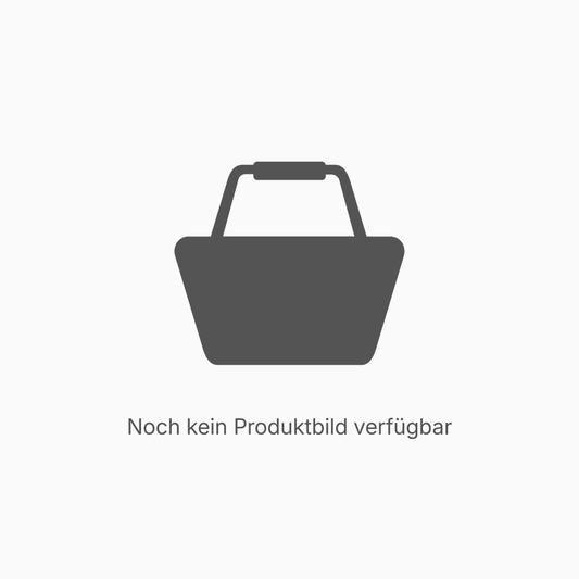 Schlüssel für Hauptschalter Batterie, VOWAG Cargo M Classic